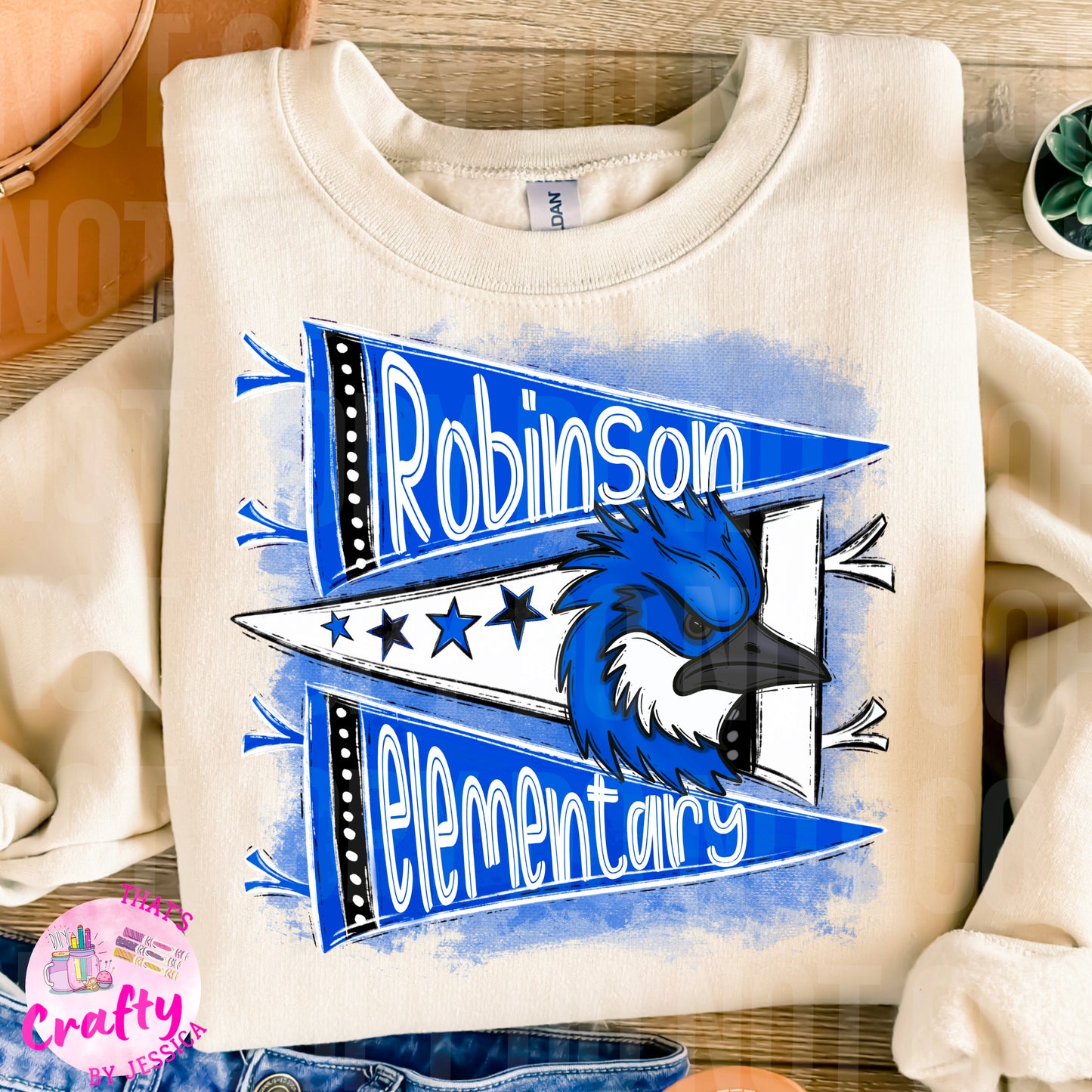 Robinson elementary Pennant PNG